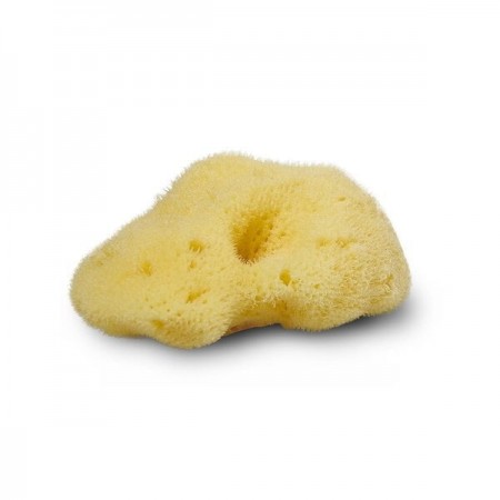 Cocoon Silk Sea Sponge 7-8 cm (For bathing)
