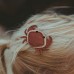 Donsje Gurt Hairclip | Crab (Hair accessories)