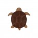 Donsje Plaukų Segtukas Turtle