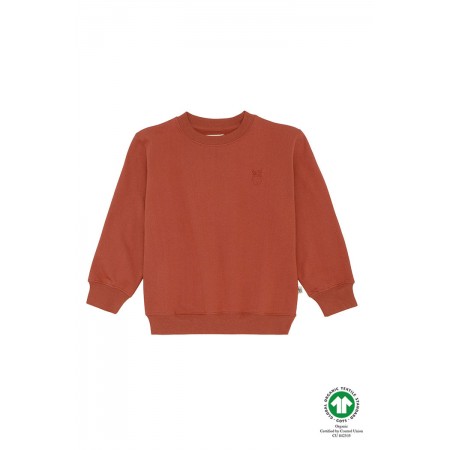 Soft Gallery Walker Sweatshirt, Arabian Spice, Mini Owl (Sweaters)