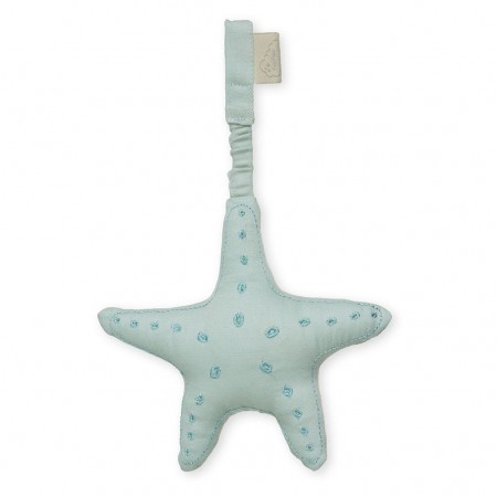 CamCam Play Gym Toy, Starfish W/ Squeaker Sea Green (Rattles)