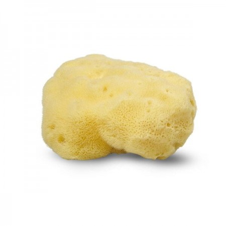 Cocoon Silk Sea Sponge 10-11 cm (For bathing)