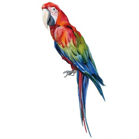 That s Mine Wallstickers - Manuel The Parrot (Wall stickers)