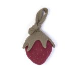 Activity_toy_Strawberry_1_1000x1000.jpg