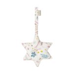 Play_Gym_Star_with_crinkle_paper_-_OCS-Play-1021-P31_Pressed_Leaves_Rose_1024x1024.jpg