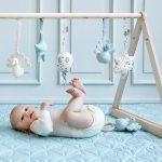 Play_Gym_Star_with_crinkle_paper_-_OCS-Play-1021-P31_Pressed_Leaves_Rose_1024x1024.jpg