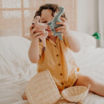 Holdie_Set_Dinosaurs_800x