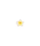 hawaii-the-flower.jpg