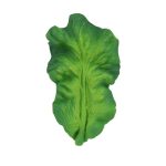 kale.jpg