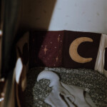 kimmey-book-cleste