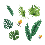 welcometothejungle_wallstories_thatsmine.png